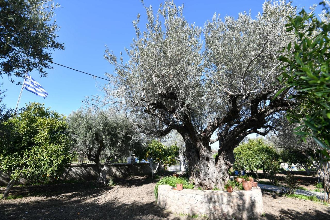 Villa Kavalino كولومبيا المظهر الخارجي الصورة