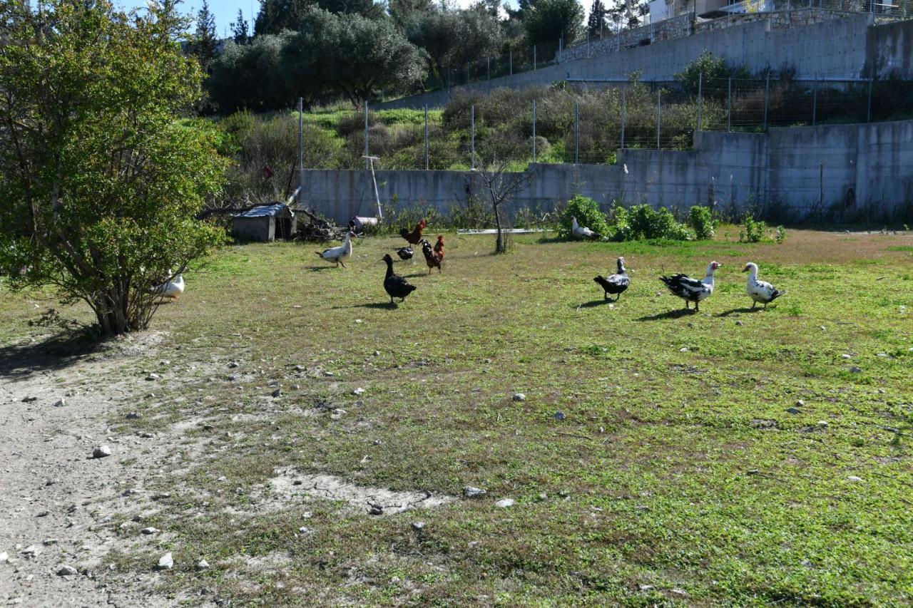 Villa Kavalino كولومبيا المظهر الخارجي الصورة